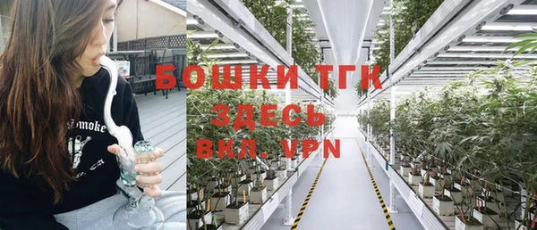 молекула духа Баксан
