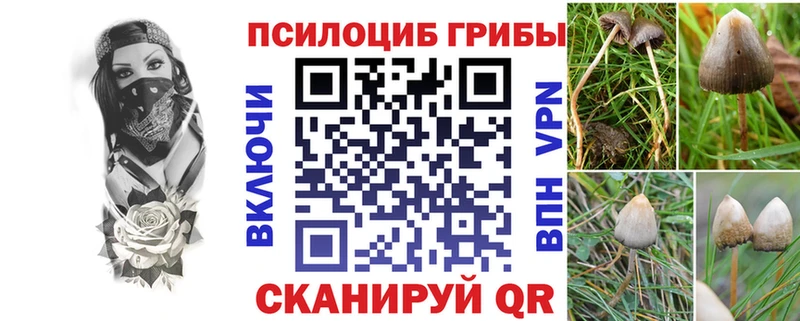 Купить где  Темрюк  Псилоцибиновые грибы мухоморы 